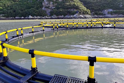 Open Sea Farming System Fish Cages HDPE Floating Cages