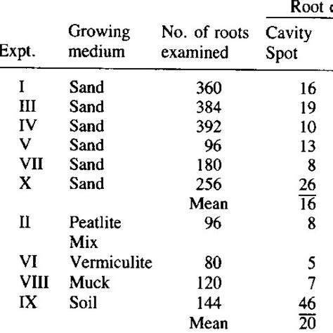 Transverse Section Through An Early Stage Of A Cavity Spot On A Carrot