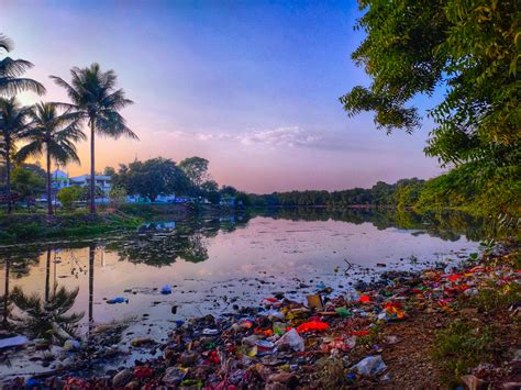 Polluted Water Photos, Download The BEST Free Polluted Water Stock ...