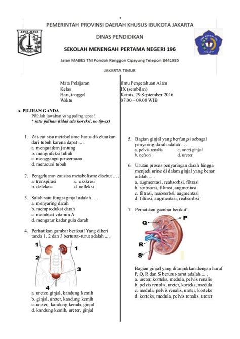 30 Contoh Soal Sistem Ekskresi Manusia Pilihan Ganda Pembahasan Riset