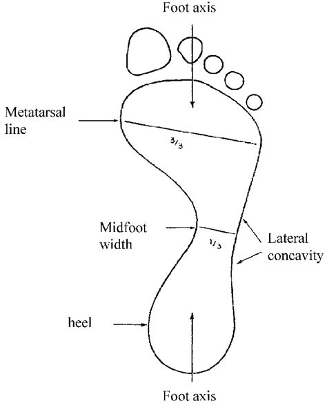 Representative Footprint From A Normal Foot The Footprint Was Measured