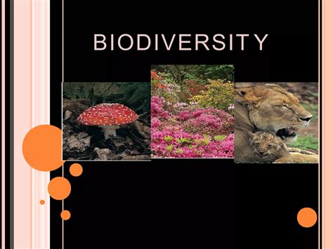 Biodiversitypptx