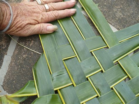 Weaving Coconut Leaf Plates | ThriftyFun