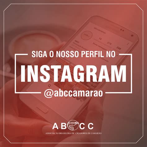 Siga O Nosso Perfil No Instagram Abccam Associa O Brasileira De