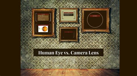 The Human Eye vs. Camera by Grant Burlock on Prezi