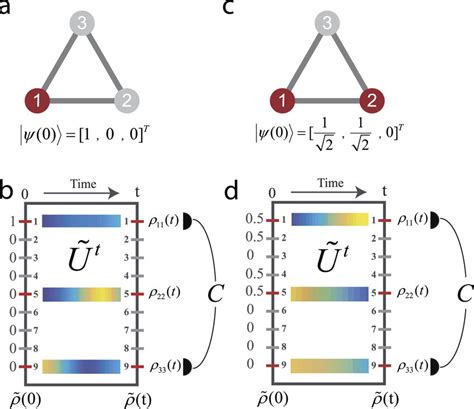 An Example Of Vectorizing Density Matrix And Quantum Network Source