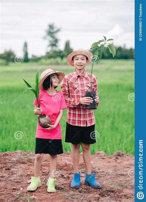 Des Enfants Tenant Des Semences De Cocotier Et D Avocatier Pour Planter