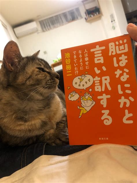 「脳はなにかと言い訳をする／池谷裕二」読後感 思索記