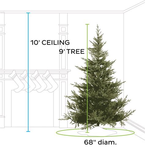 A Christmas Tree Is Shown With Measurements For The Height