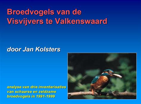 Natuurtijdschriften Broedvogels Van De Visvijvers Te Valkenswaard