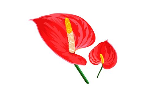 Hawaiian Cartoon Flowers