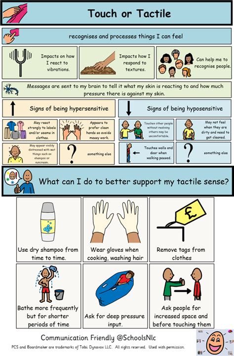 Sensory Sensitivities And Strategies To Support