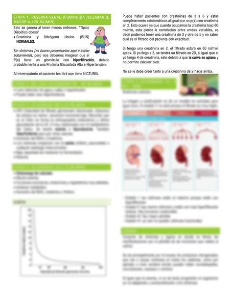 Solution Enfermedad Renal Cr Nica Fisiopatolog A Studypool