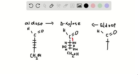 Solved What Two Aldoses Yield D Xylose On Wohl Degradation