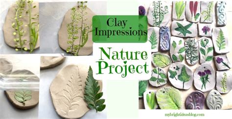 Nature Craft Perfect For Earth Day Activity Clay Imprints With