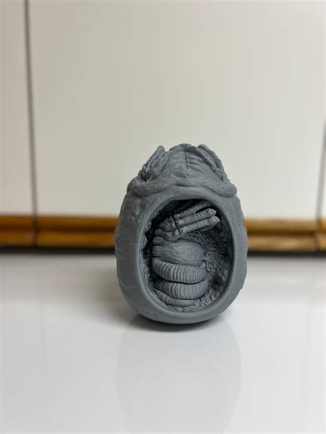 Unique 3D Printed Xenomorph Egg With Mesmerizing Cutaway View A Must ...