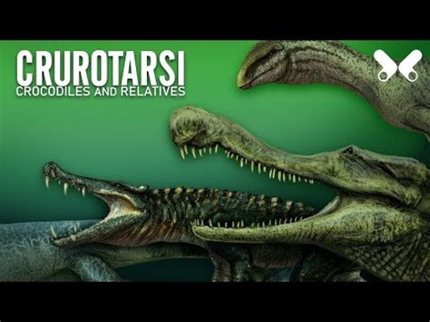 Prehistoric Crocodiles And Relatives Size Comparison Crurotarsi