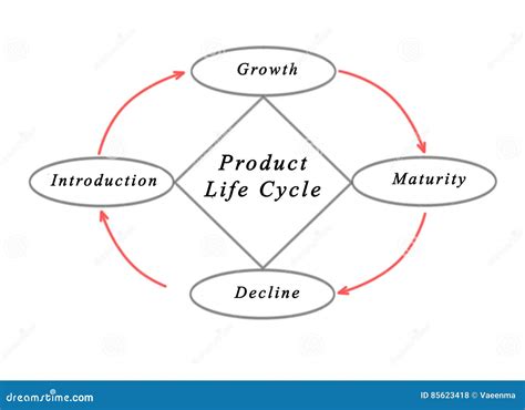 Diagram Of Product Life Cycle Cartoon Vector | CartoonDealer.com #28561303