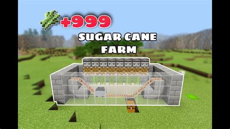 How To Make Sugar Cane Farm How To Make Sugarcane Farm In Minecraft🔥🔥