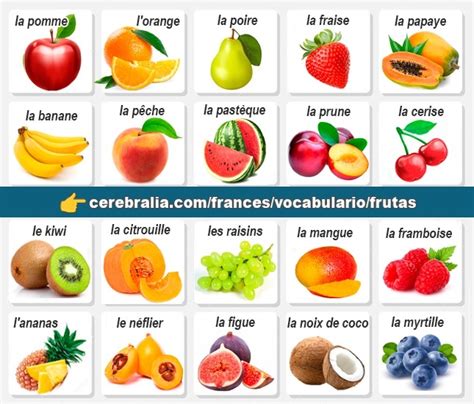 VOCABULARIO DE LAS FRUTAS EN FRANCÉS