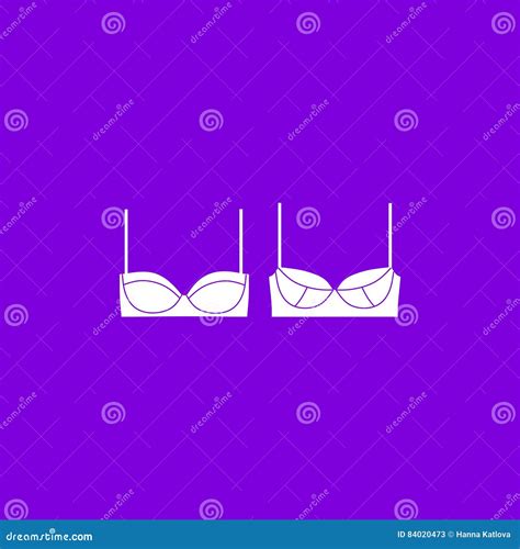 Bras And Panties Lingerie And Pantie Lingerie Stock Illustration
