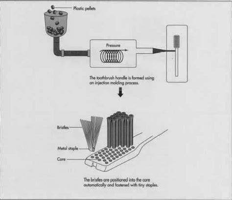 A Look Into Our Present Life Cycle Analysis Fact Sheet Toothbrush