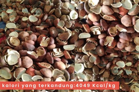 Produk Kami Jual Cangkang Sawit