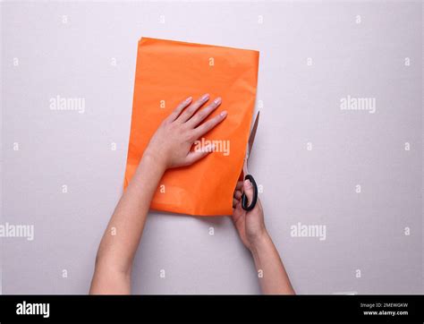 Steps And Materials Used To Make A Papercraft Pom Pom Stock Photo Alamy