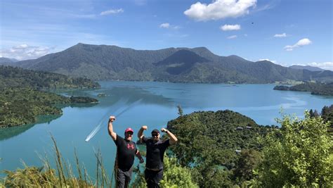 Wilderness Guides Picton New Zealand Activities Day Trips In