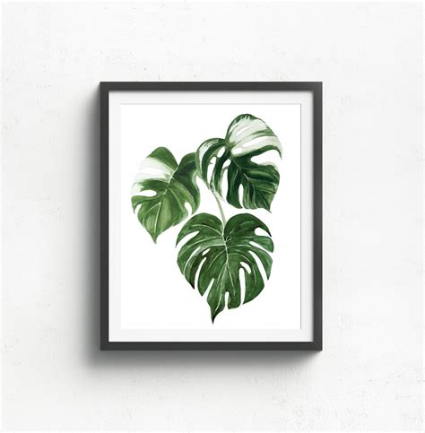 Monstera Leaf Prints Botanical Print Houseplant Plant | Etsy