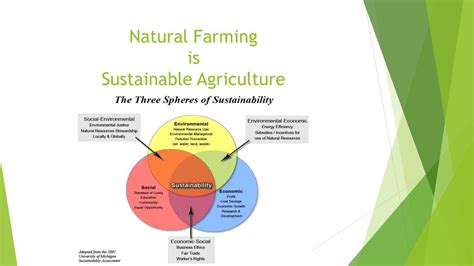 Natural Farming