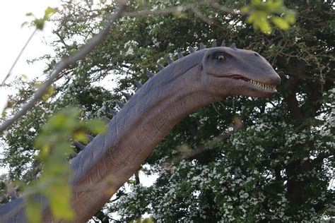 Pangea - Discovery of Dinosaurs | Yorkshire Wildlife Park