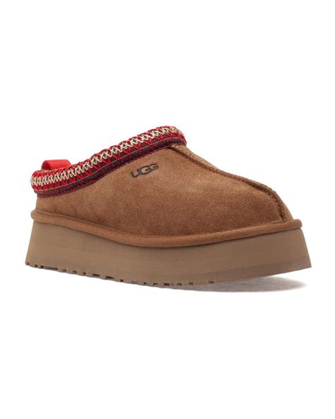 Ugg Tazz Slipper Chestnut In Brown Lyst