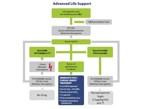 Epinephrine for out-of-hospital cardiac arrest: Insights from the ...