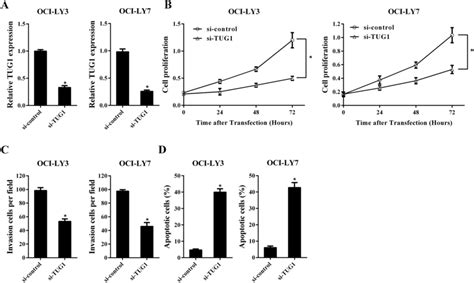 Knockdown Of Tug Suppresses Dlbcl Cell Growth And Promoted Apoptosis