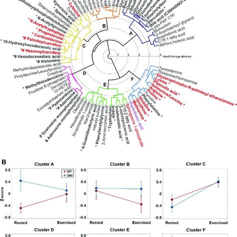 Hierarchical Cluster Analysis HCA Dendrogram Of Identified Annotated