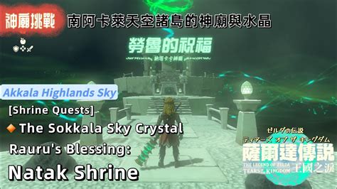 Ns Zelda Totk Shrine