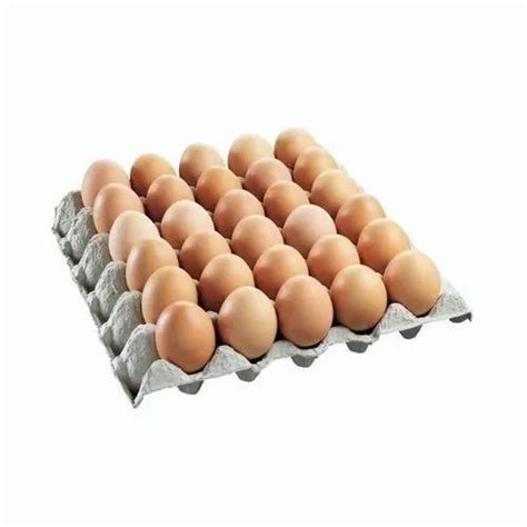 Cobb Hatching Eggs At Rs 6piece Hatching Eggs In Aligarh Id