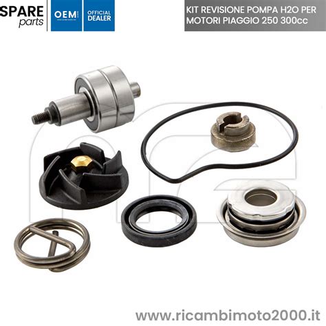 Motore KIT REVISIONE POMPA ACQUA APRILIA DERBI GILERA PIAGGIO 250 300