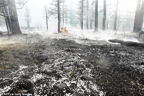 Firenado Spotted In Explosive Californian Wildfire Readsector