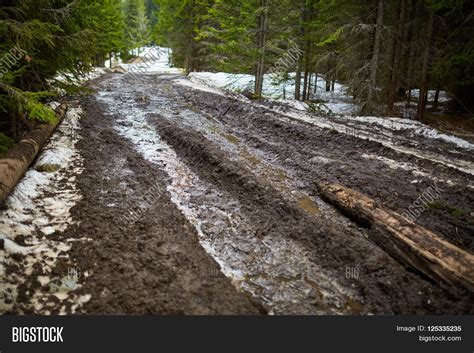 Muddy Road Forest Image And Photo Free Trial Bigstock