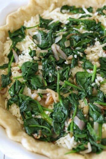 Easy Quiche Florentine Recipe L Beyond Frosting