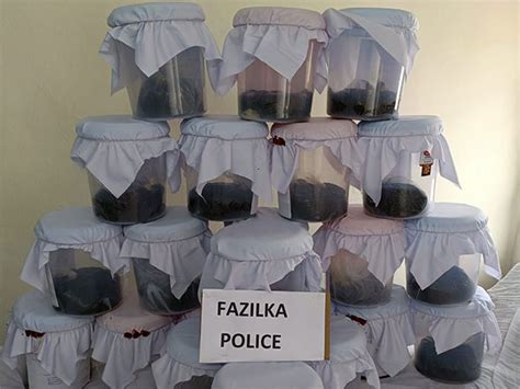 Punjab Police Bust Inter State Opium Smuggling Syndicate Two Held