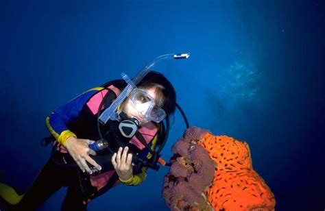 Marine Biologist - Texas Aquatic Science