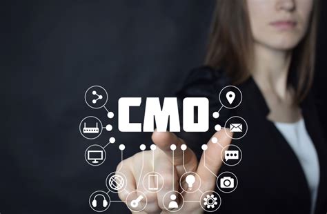 What Does A Fractional Cmo Do