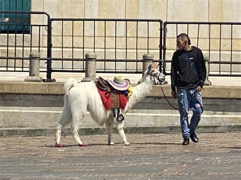 the nutshell diaries » South America