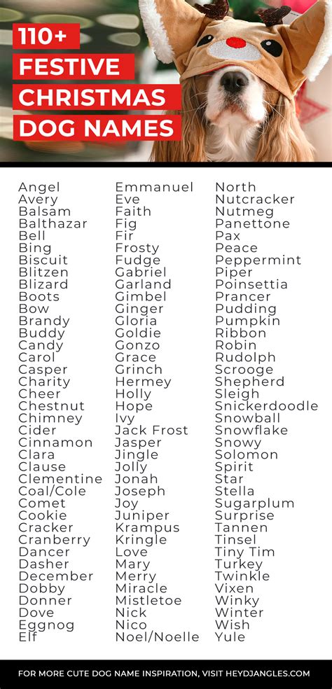 110 Christmas Themed Dog Names Cute Festive Dog Toys Hey Djangles