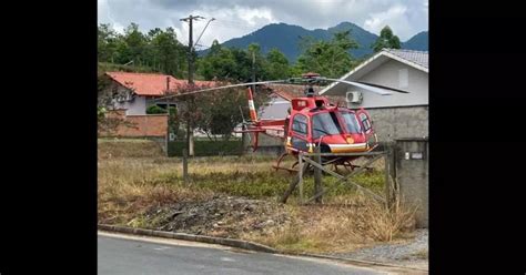 Idoso Atacado Por Abelhas E Sofre Mais De Picadas Em Timb