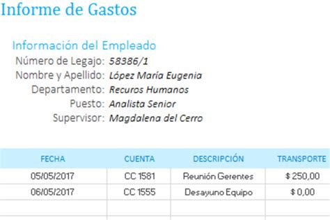 Introducir Imagen Modelo De Rendicion De Gastos En Excel Abzlocal Mx