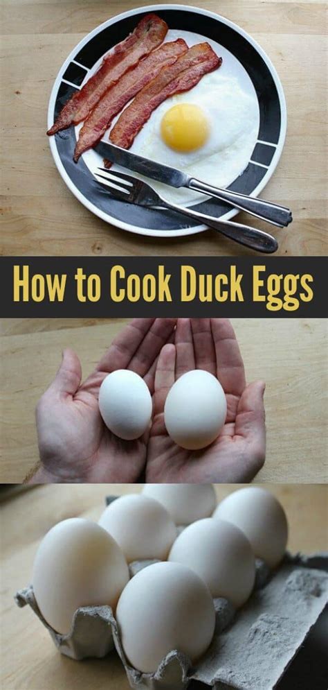 Duck Egg Recipes